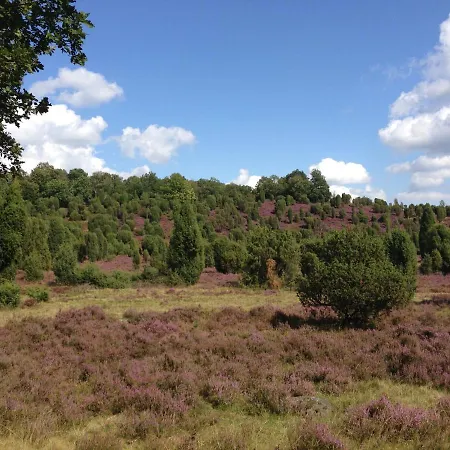 Neumanns Waldschaenke 호텔 3*