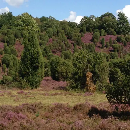 호텔 Neumanns Waldschaenke